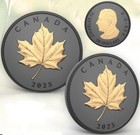 Elegant Maple 2025 Canada Rhodium gold Gilded 1oz  9999 Pure Silver  20 Coin