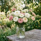 Zinnia Soft Blush Wedding Mix Romantic Ivory Pink Cut Flower Garden  150 Seeds 