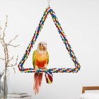 Bird Triangle Rope Swing Colorful Perch Chewing Toy For Parrots Budgie M 