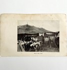 1930 Circus Pre Show Big Top Print Antique Carnival Ephemera 8 X 5 