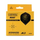 Cuesoul Integrated Dart Shaft And Flights 6 Pcs Standard Shape-gold Skull 28mm