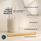 Pack Of 12 Miswak Sticks Natural Toothbrush For Teeth Whitening Oral Health   F