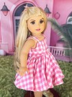 Ag Fashion Doll Inspired Gingham Dress Pink And White Made For American Girl 18 