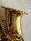 Saxivo Eb Alto Saxophone Gold New Professionally Adjusted Ready To Play Case