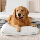 Serenity By Tempur-pedic Cooling Memory Foam Pillow - Standard Size 24    X 16   