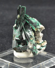 Brochantite   Milpillas Mine  Mapimi  Sonora  Mexico 33x19mm