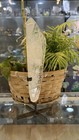 Clear Quartz On Stand    