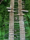 Vintage Antique Medical Surgical Tools And Roll Specialized Ear Nose Throat