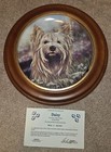 The Danbury Mint Yorkshire Terriers Collection  7 Plates And 7 Frames 