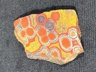 Morgan Hill Poppy Jasper Slab 33 2 G Calif  Aa Premium  Orbs  One Of A Kind