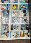 1979 Topps Baseball Card Full Sheet Uncut 144 Cards 12 Rows Roll Vintage