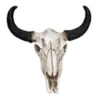  Cow Skull Wall Hanging skull Wall Hanging resin Longhorn Cow Skull cow Skull 