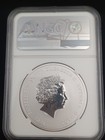 2021 The Simpsons Family Ms70 1oz Silver  9999 Tuvalu Ngc Coin- Early Releases