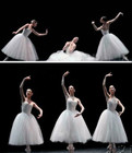 Adult Children Ballet Tutu Dress Party Practice Skirts Clothes Dance Costumes