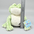 Ganz Webkinz Spotted Frog Hm142 Sealed Code Plush Stuffed Animal