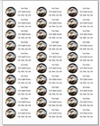 150 Bald Eagle Stained Glass Style 3 Mailing Return Address Labels Personalized