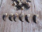 5 Fox Claws Drilled Taxidermy Jewelry Craft Projects Animal Bones Claws