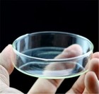 Glass Shrimp And Snails Feeding Dish For Aquarium Shrimp Tank Crystal Red Cherry