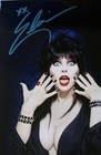 Mistress Of The Dark Elvira Signed Autographed 8x10 Photo   sale 