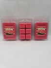 Juicy Watermelon 3 Pack Scented Handmade Wax Melts    free Shipping   