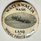 C1900s Walla Walla Wash Land Of Wheat Fruit   Money 1 75  Celluloid Pinback