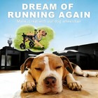Size M l - Dog Wheelchair For Back Legs  Adjustable Height length width