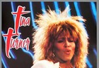 Tina Turner     Rare Vintage Original Nuremberg 1987 Concert Poster
