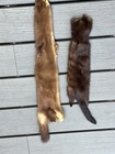 Fur Pelts Hides - Assorted -  Beaver  Bison  Mink  Coyote