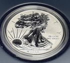 2013-w Us Mint American Eagle West Point Two-coin Silver Proof Set
