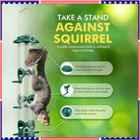 Squirrel-proof Wild Bird Feeder Plastic Metal For Outdoors Hanging Us