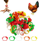 100 Pcs Adjustable Poultry Leg Bands  5 Color Numbered Chicken Identification   
