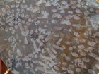 Dig-n-utah  Slab Worm Hole Jasper Agate Rough   L 376