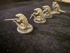 Warmachine Hordes Lot Bb Blind Water Congregation Gatorman Posse Lot