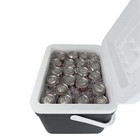 Ozark Trail 30 Quart Hard Side Cooler  42-can Capacity  Gray polypropylene