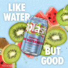 Splash Kiwi Watermelon Sparkling Water  12 Fl Oz  8 Cans