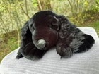 Russ Berrie Thunder Dog Plush Black Realistic Cocker Spaniel Stuffed Animal Vtg