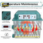 Incubators For Hatching 120 Eggs  Egg Incubator With Automatic Egg Turning And H