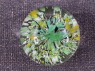 Alligator Crocodile Glass Paperweight