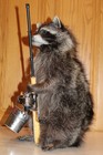 New Fishing Raccoon Mount Taxidermy Antler Novelty Whitetail Deer Fur Opossum