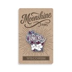 Wisconsin Enamel Lapel Pin     Collectible State Souvenir