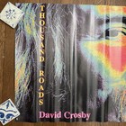 Vtg David Crosby - Thousand Roads Promo Poster Original 1993 The Atlantic Group