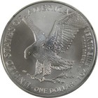2022 American Silver Eagle Uncirculated Mint State  1 Coin Collectible