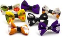 Holiday Halloween Festive Holiday Dog   Puppy Bows Bag Of 30 Pieces - Pumpkin   