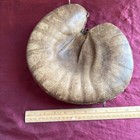 Vintage Wilson 501 X Model Baseball Catchers Mitt Glove Nice 