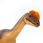 Safari Ltd Dilophosaurus Dinosaur Figure 100508 New In Stock