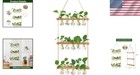 Elegant Wall Hanging Propagation Station With 5 Bulb Vases For Indoor Decor