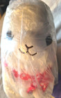Alpacasso White Colour Genuine Amuse Cute Soft Plush Big Kawaii Japan Nwt Toreba