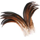 Natural Long Rooster Tail Feathers For Diy Crafts  60pcs  12-14 Inch  Craft Supp