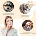 2pcs Metal Head Lice Comb Fine Tooth Pet Dog Cat Flea Hair Kids Nit Eggs Removal