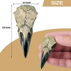 Halloween Raven Skull  Gothic Raven Decor Statue Animal Skull  Fake Bone Decor C